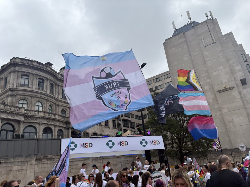 Crowd with trans flags at an outdoor march
